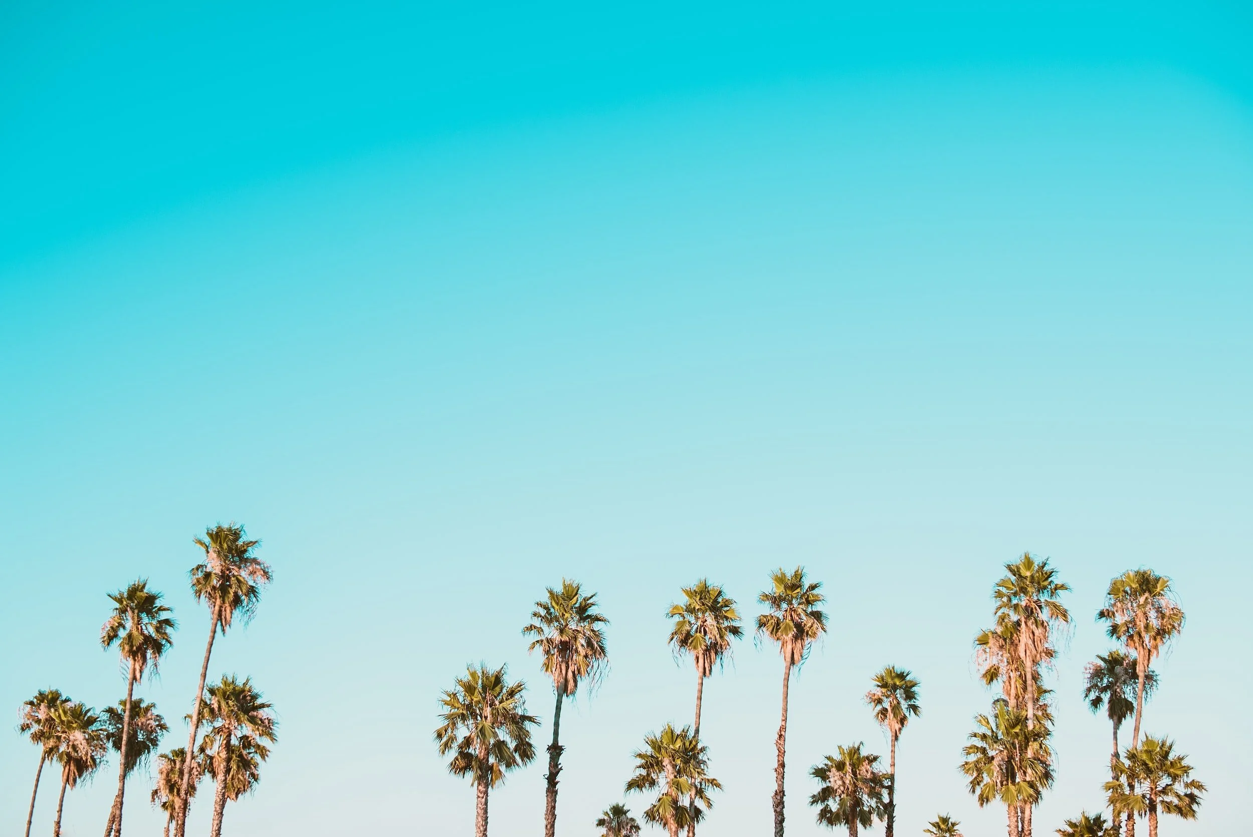 La Palma Fluff and Fold Laundry Service - Residential and Commercial Laundry